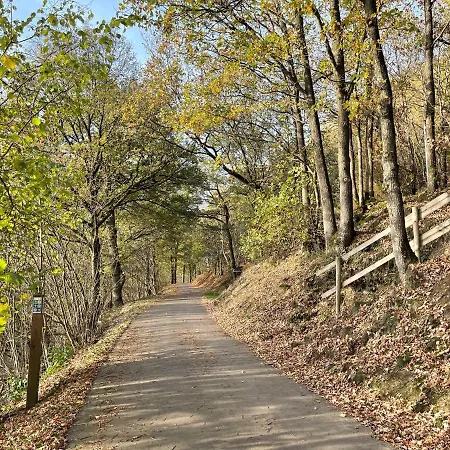 Eiflia- Im Warchetal Büllingen